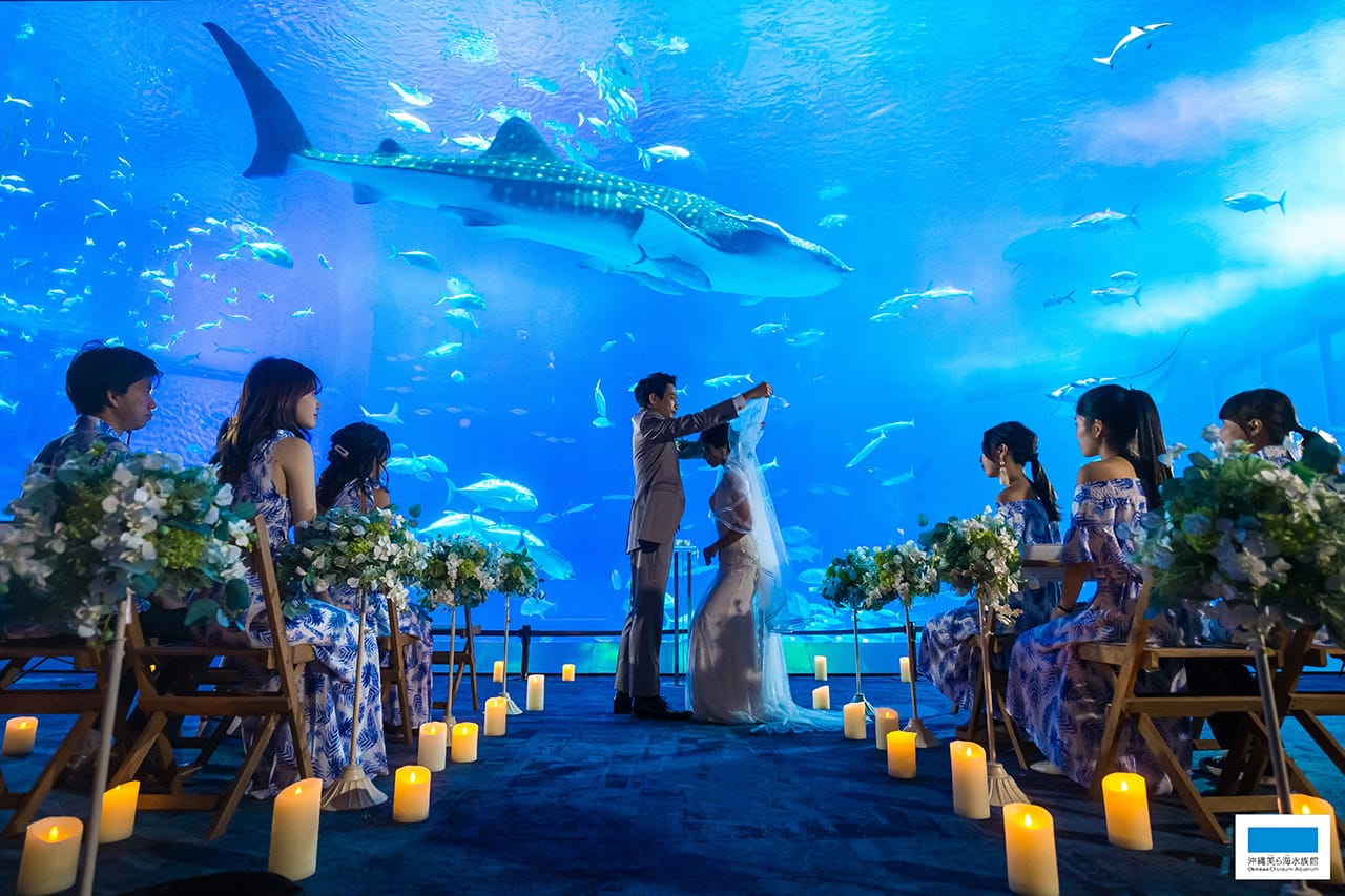 沖縄美ら海水族館ウェディングのセレモニー。ベールアップ