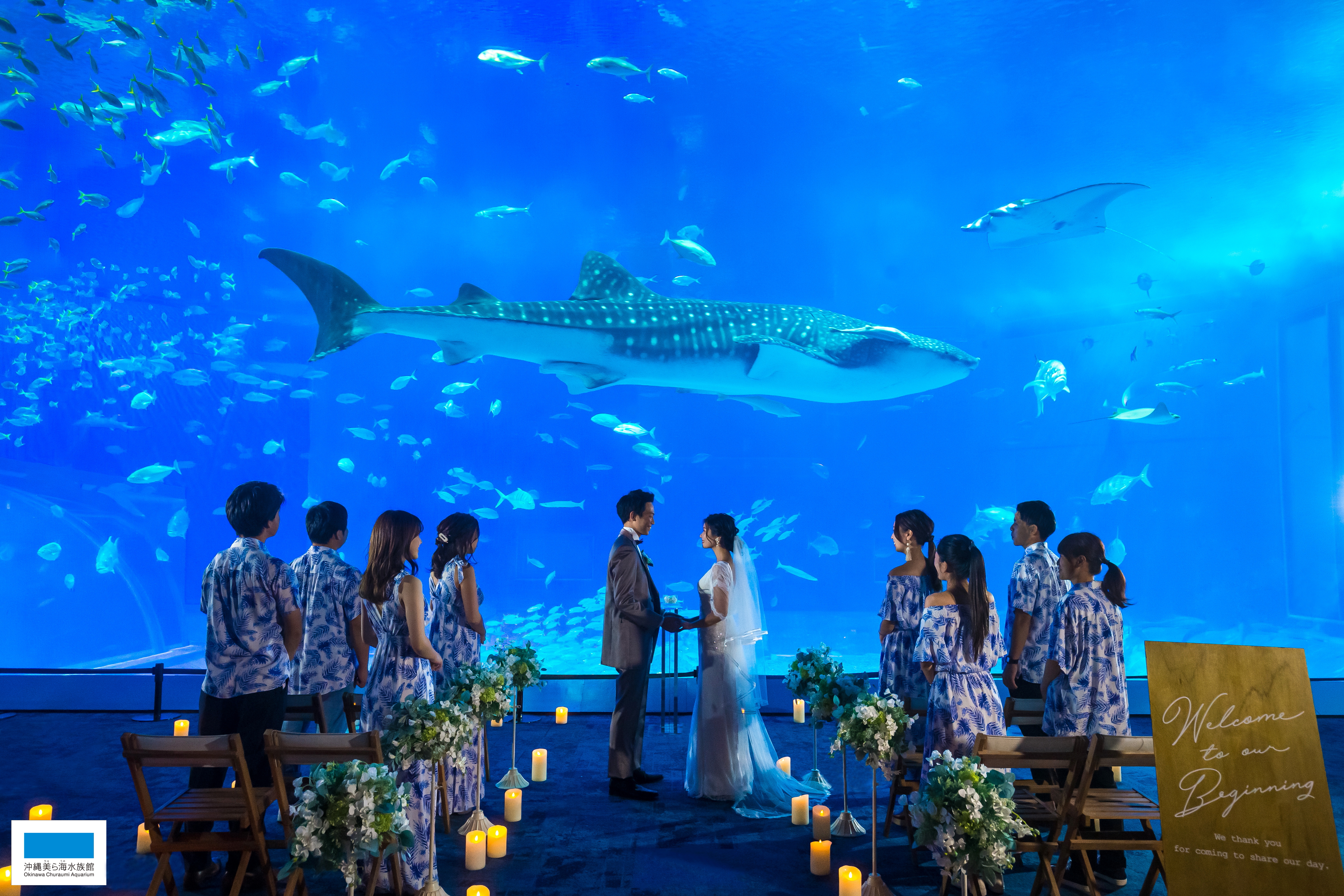 美ら海水族館ウェディング