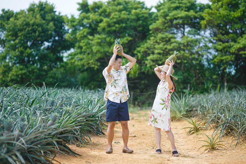 【8月9月限定】沖縄の景色を堪能！バギー・ジップライン体験＆パイナップル狩り