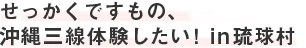 せっかくですもの、沖縄三線体験したい！ｉｎ琉球村