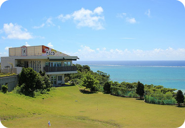 cafeやぶさち：写真