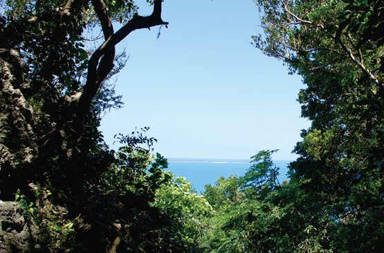 久高島