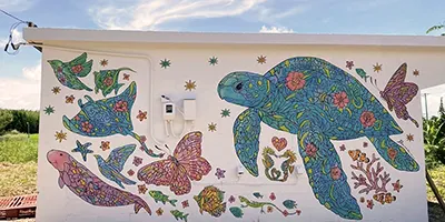 Connecting to the future