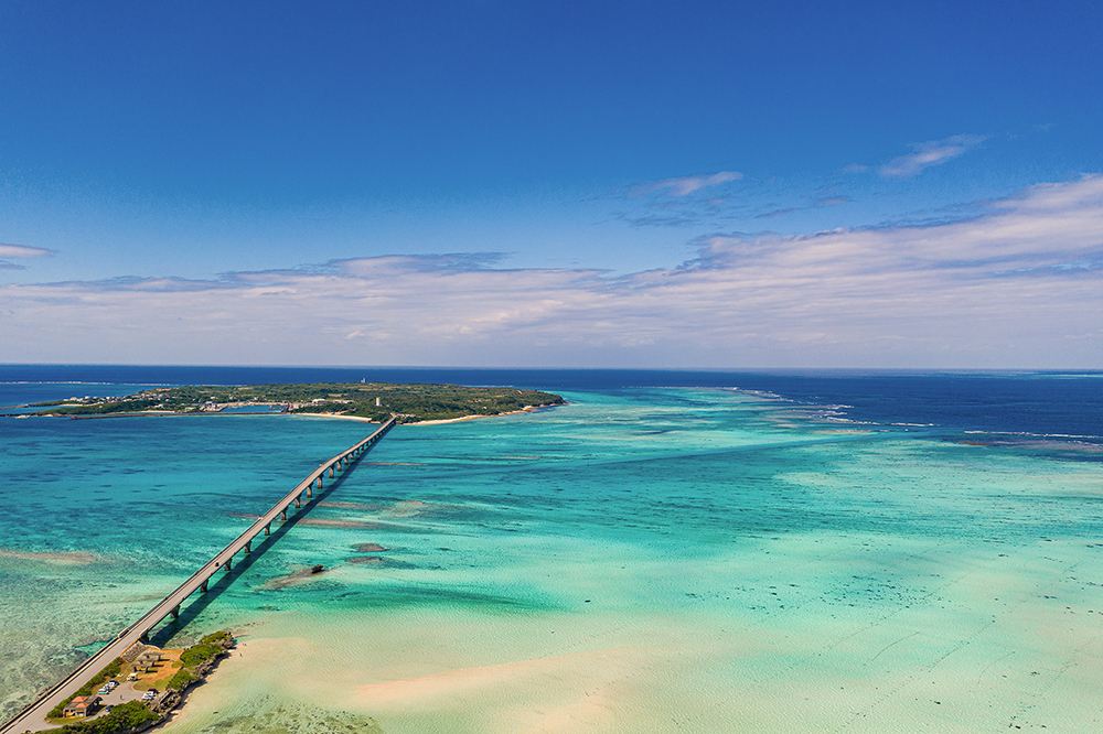 カップルの未来を祝福する島のアートとグリーンのフォトスポット